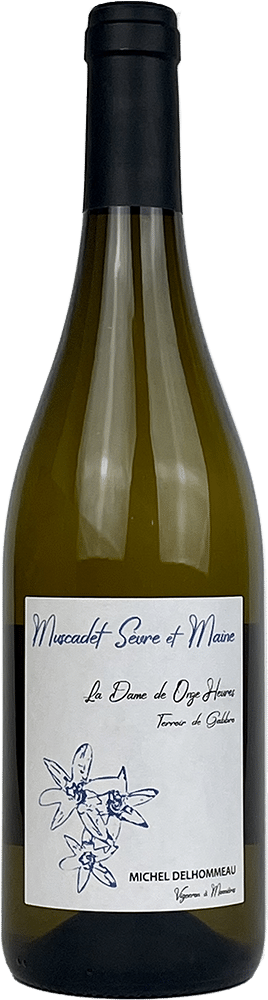 Image of Michel Delhommeau, Dame de Onze Heures Muscadet Sèvre-et-Maine 2023